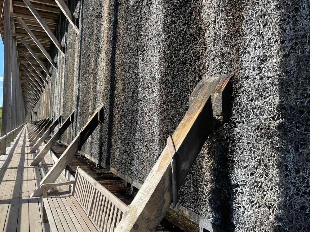 A long view through the wooden frame of the Gradierwerk, in the foreground a view of the grey-black brushwood panels with water trickling down them.