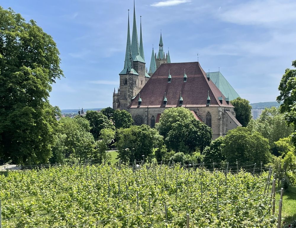 A view over a vineyard toward a church and a cathedral with verdigris spires against a largely blue sky.