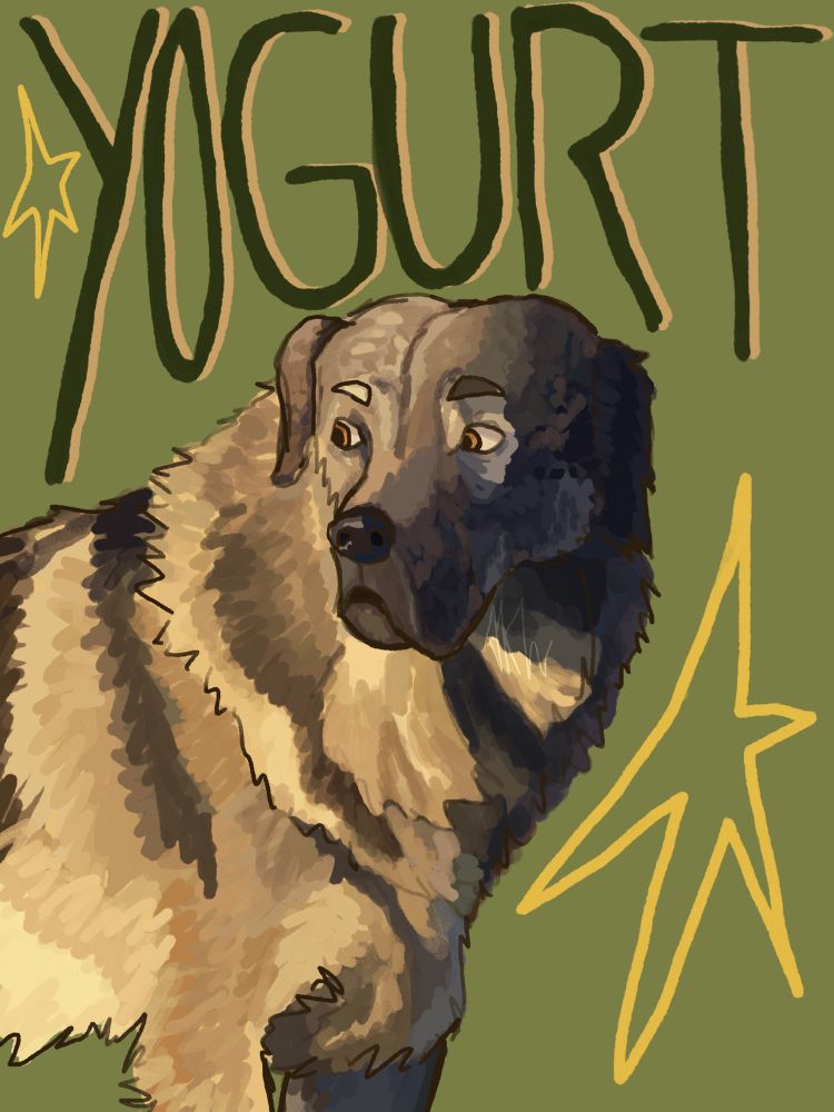 Drawing of a Yugoslavian Shepard  named Yogurt