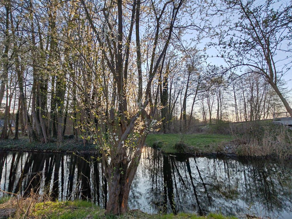 Kanal im Sonnenuntergang 