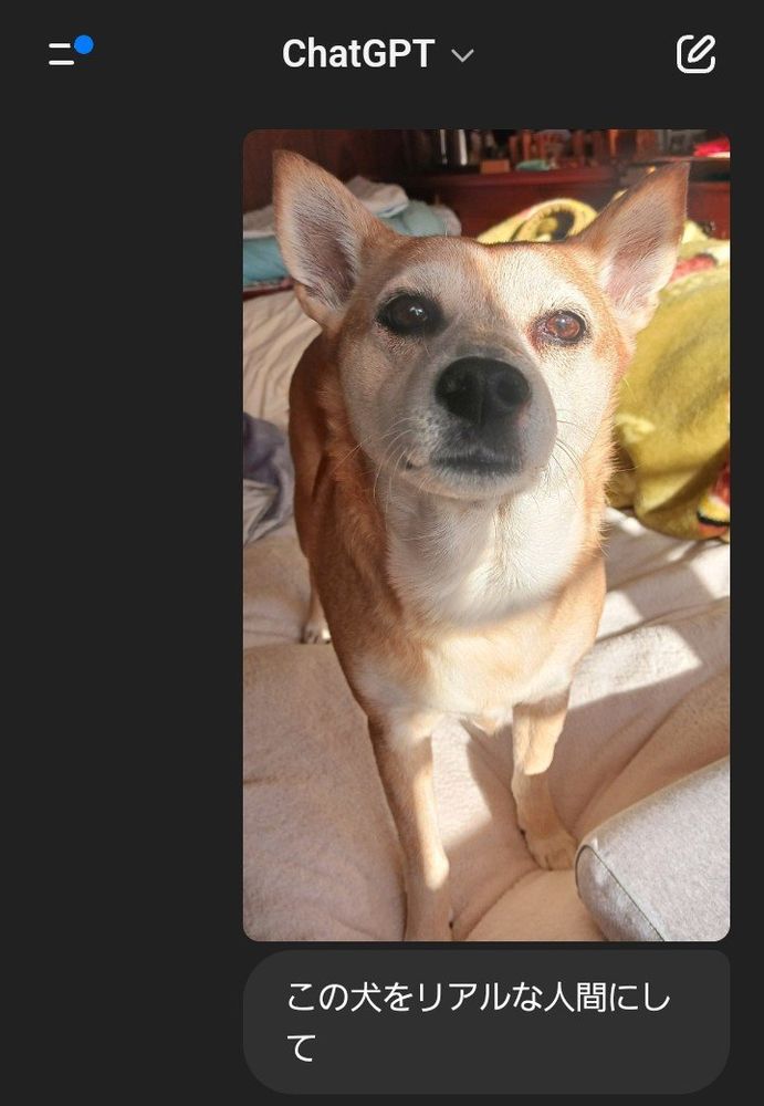 ワンの写真に「この犬をリアルな人間にして」と添え書きされている