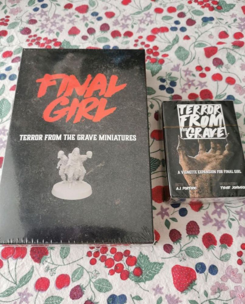 Final Girl, Terror from the Grave + Miniaturen, S2, OVP, Solo