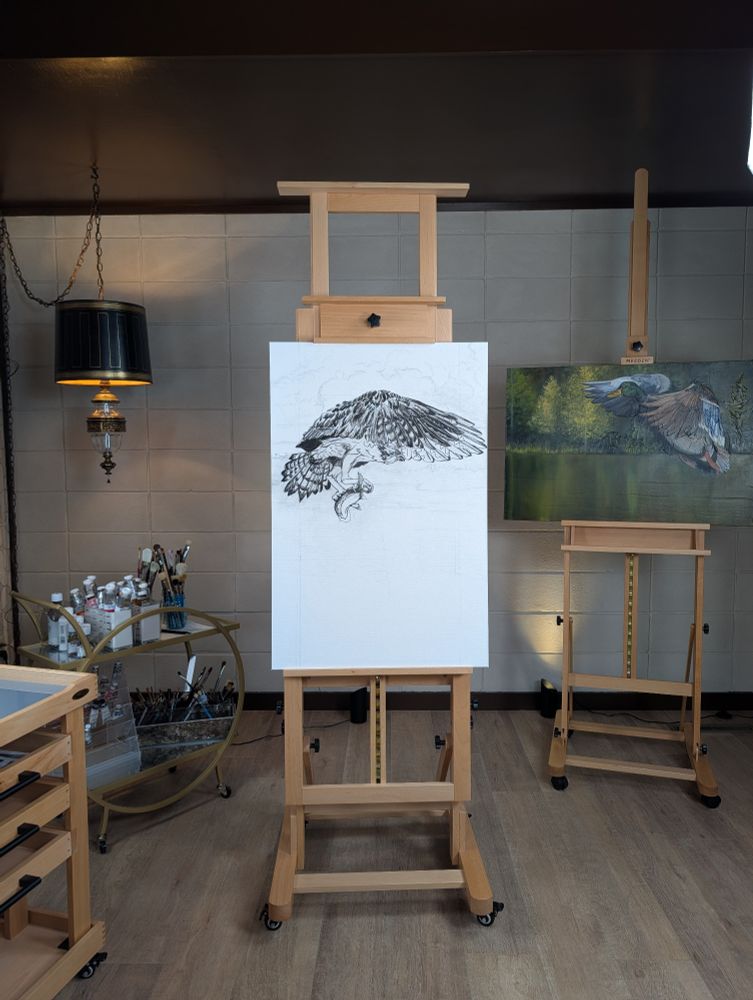 Studio view with a large drawing of an Osprey on an easel, surrounded by art supplies and paintings in progress, showing the workspace where the Raptor Series is being created.