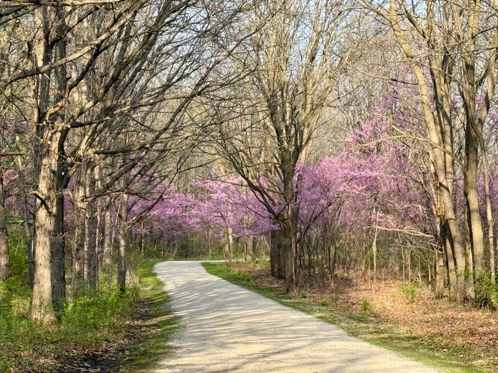 Spring colors are beginning to “pop” on the bicycle trails in west suburban Chicago.