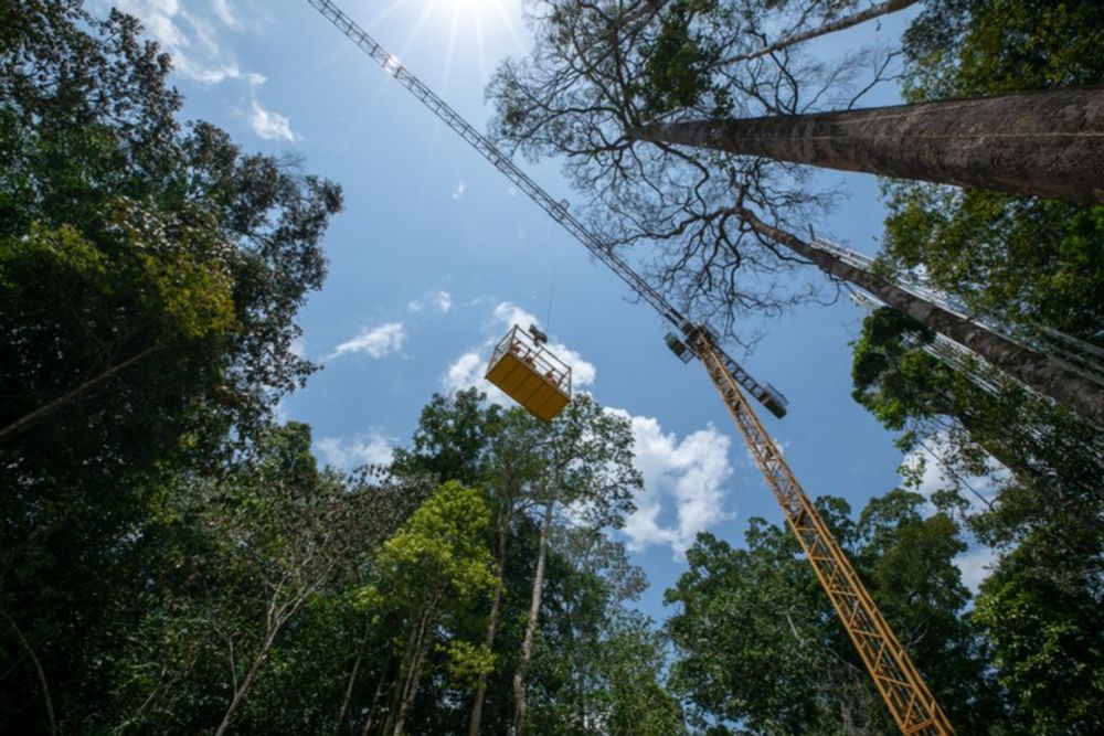 Parceria com Belmont Forum fomenta projetos sobre a Amazônia e Florestas Tropicais - Consecti