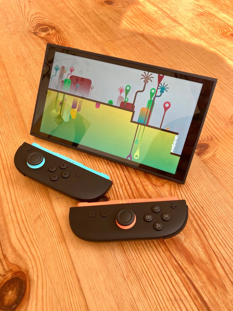 Photo of the Nintendo Switch 2 console running ibb & obb.