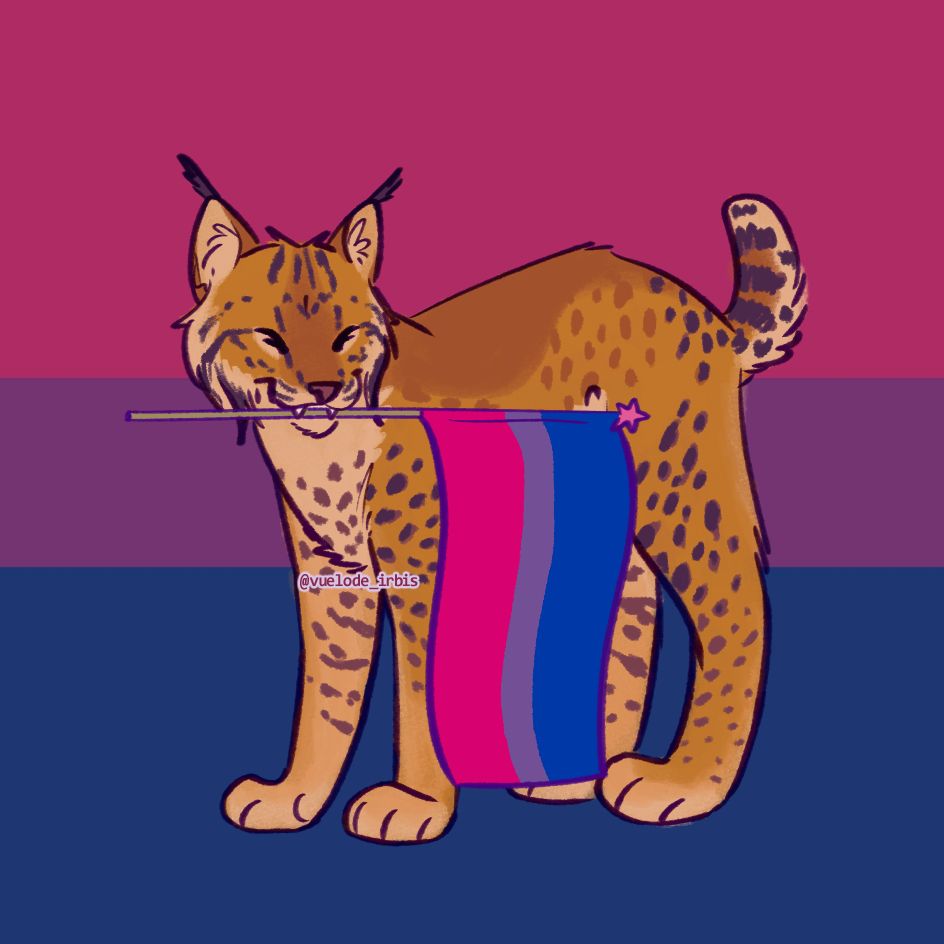 A bobcat standing up while holding the bisexual pride flag. The background is the same flag but desaturated.