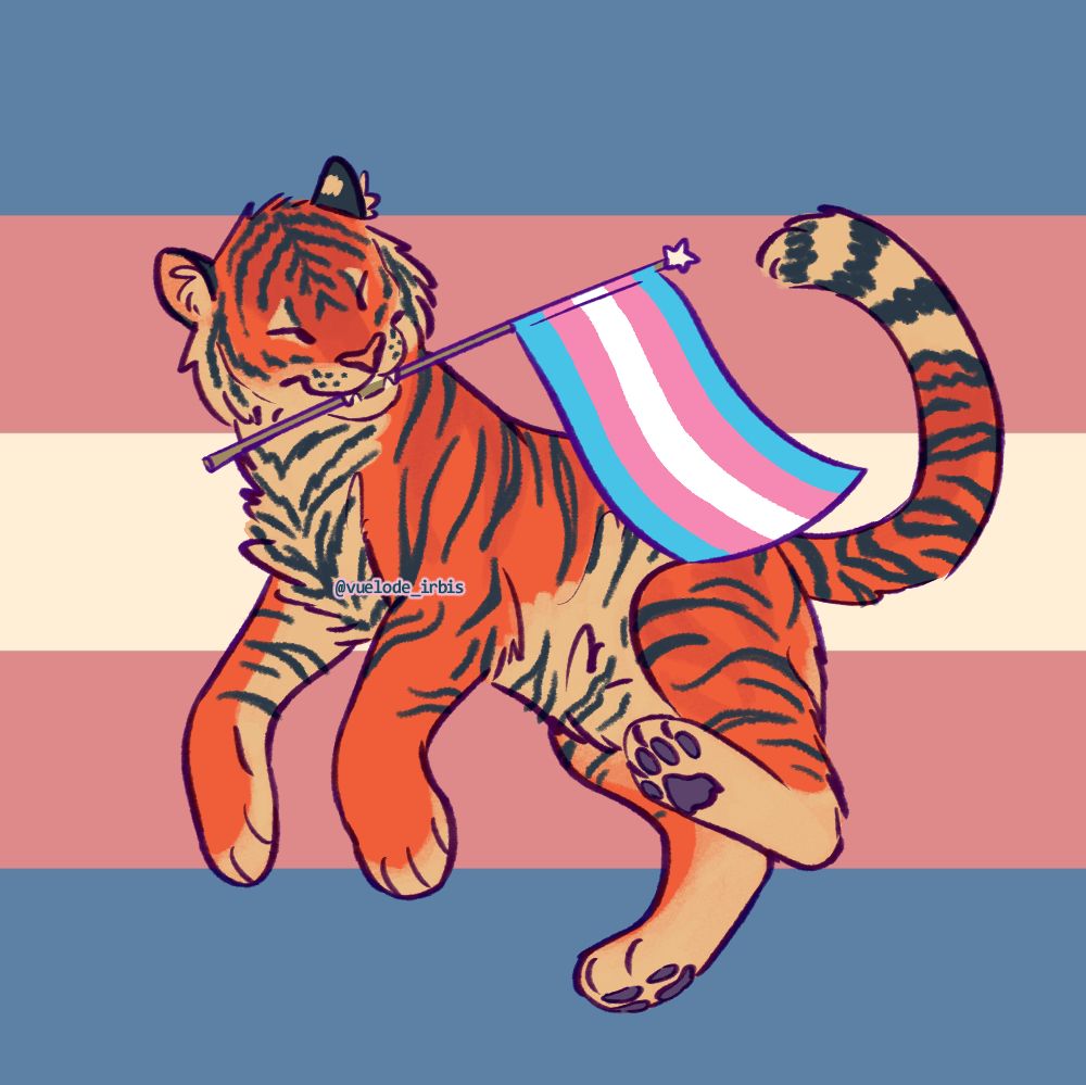 A tiger floating in the air while holding a flag of the trans pride. The background is the same flag but desaturated.