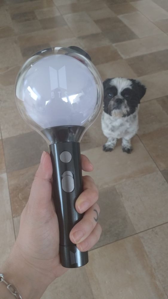 Me holding my brand new army bomb and my shitzu dog in the background 