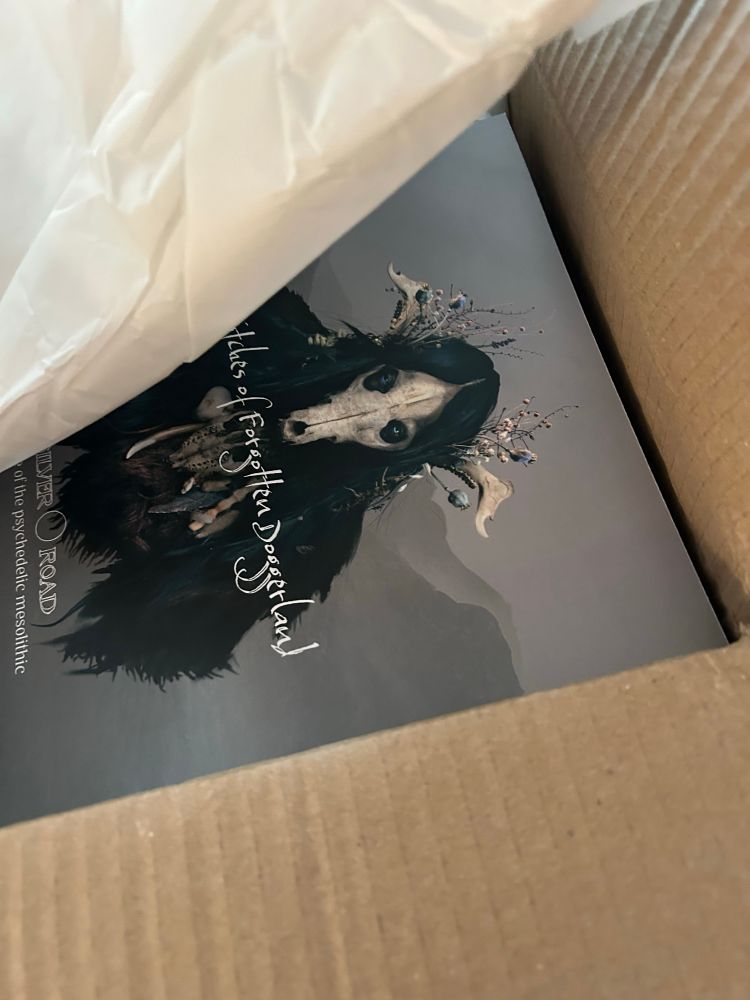 A photo of a softcover Maskwitches book peeking out of the box it came in. 