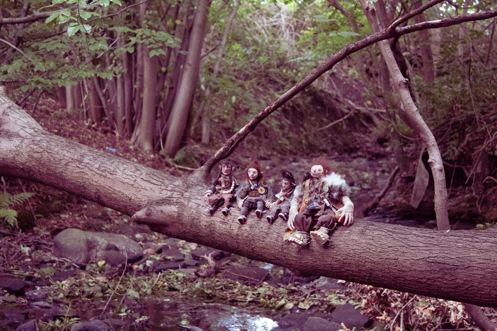 A photo of all four of the Wee Folk puppets sitting on a tree trunk across the Polmont Burn. 