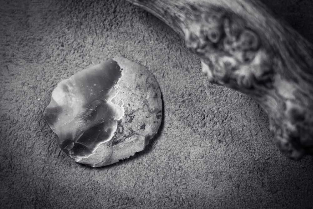 A monochrome image from the Pine Pitch Black edition of Maskwitches. A flint scraper on some hide, next to a gnarled piece of driftwood. 