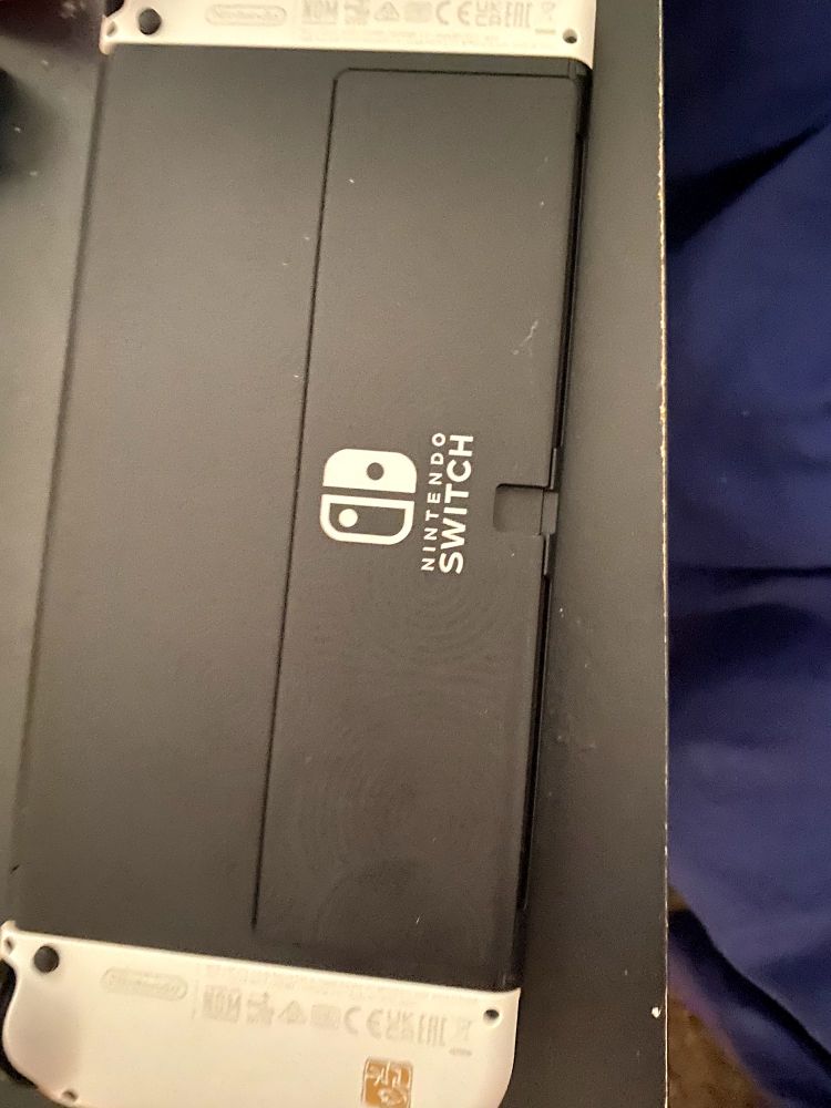 The back of the Switch. 