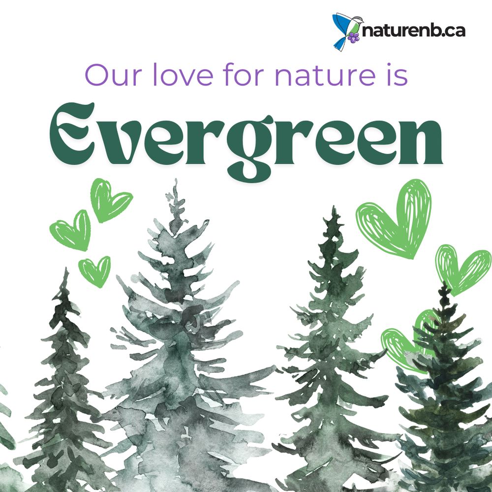 Our love for nature is Evergreen.
