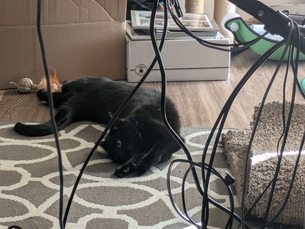 A black cat is seen laying on her side on the floor, half on a rug, half on bare faux wood floor. She's curled backwards into a U that makes your back hurt just to look at. The picture was taken looking under a table, so there are a bunch of computer cables passing through the photo.
