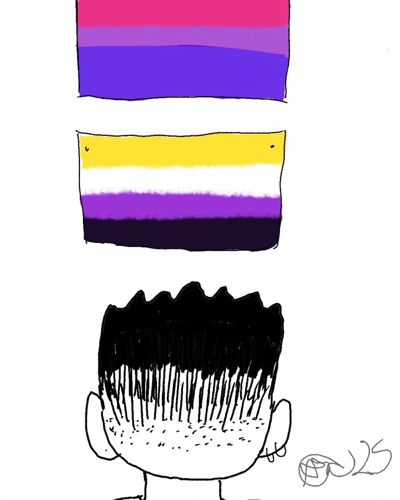 Bisexual flag and non-binary flag pinned to the wall. Person faces them.