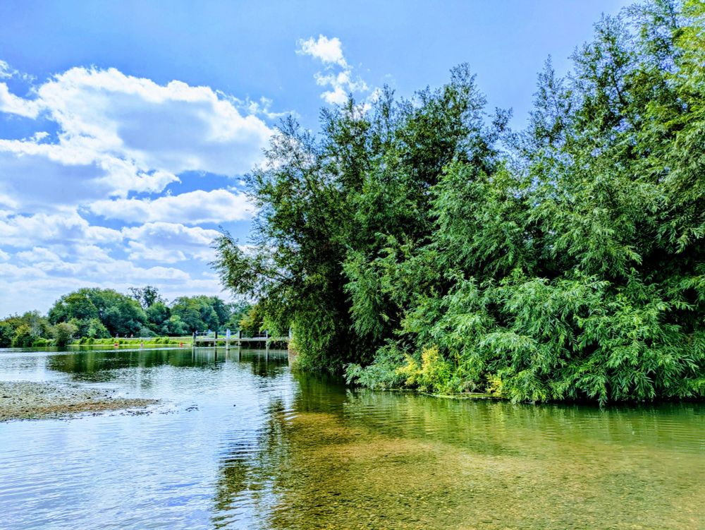 River Thames in Port Meadow on a summer's day
