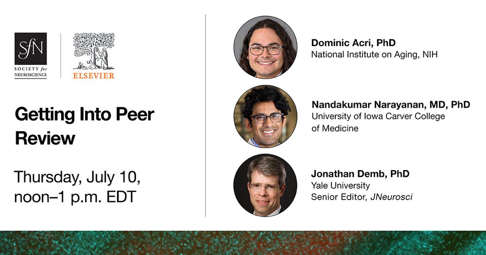 SfN and Elsevier logos. Getting Into Peer Review. Thursday, July 10, noon-1 p.m. EDT. Headshots of Dominic Acri, PhD, National Institute on Aging, NIH. Nandakumar Narayanan, MD, PhD. University of Iowa Carver College of Medicine. Jonathan Demb, PhD. Yale University, Senior Editor at JNeurosci.