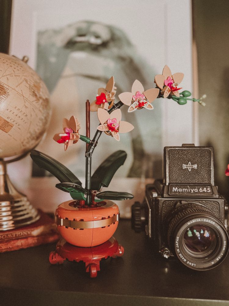 Lego orchid set sits on a green shelf, to the left is a mini globe, to the right is a Mamiya 645 camera, and behind is an abstract painting with small houses.