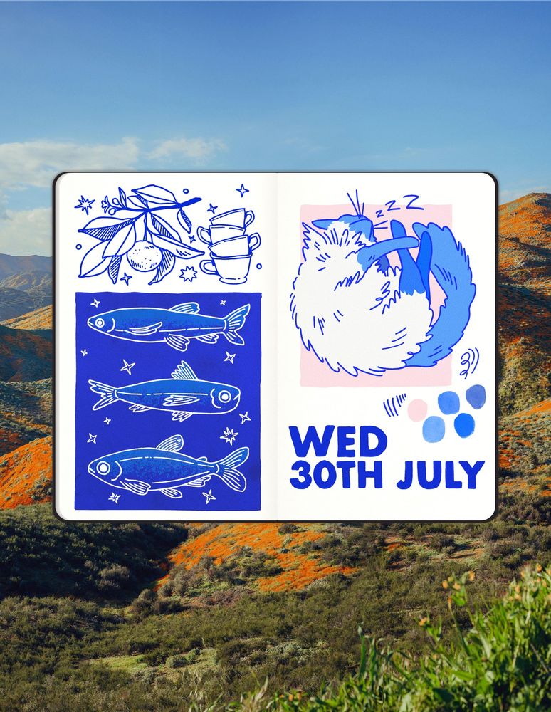 Sketchbook spread with a photo of orange hills in the background. On the pages from left to right, top to bottom: orange on a branch, stacked teacups, my sleeping cat, three fishes on a blue background, colour and line swatches, and the date “Wed 30th July”.
