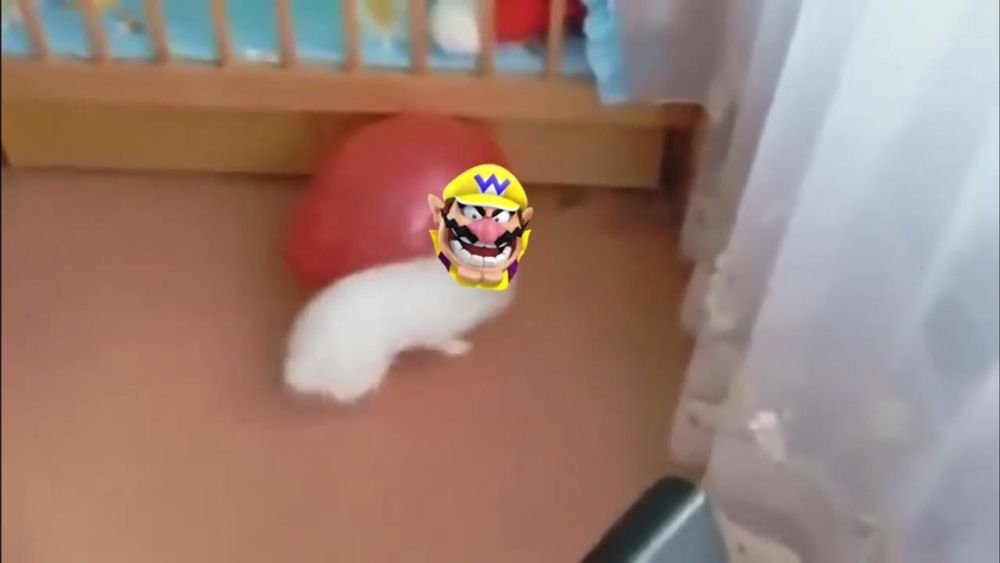 Rabbit Wario Gets Scared of a Balloon