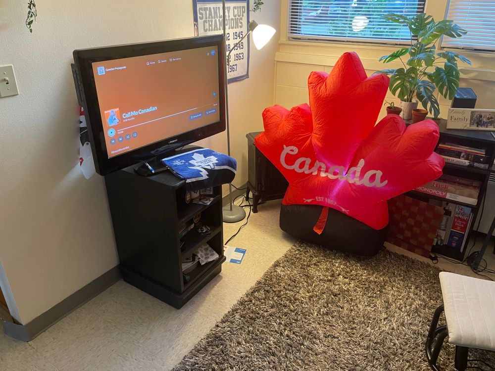 A ridiculously large blow up Canadian Maple Leaf at my party.