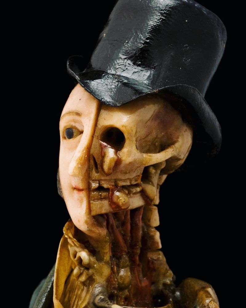 A side view of the the half living and half skeleton head. 
