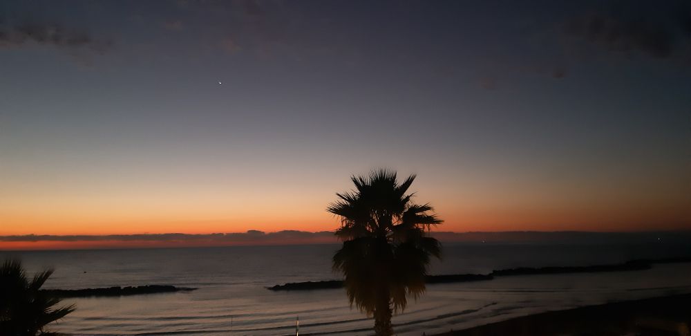 Calm beach befor dawn, with palm trees silhouetted in the middle and left. Over the horizon, a line of night clouds in a bruise palette, a fiery red announcing dawn within the hour.