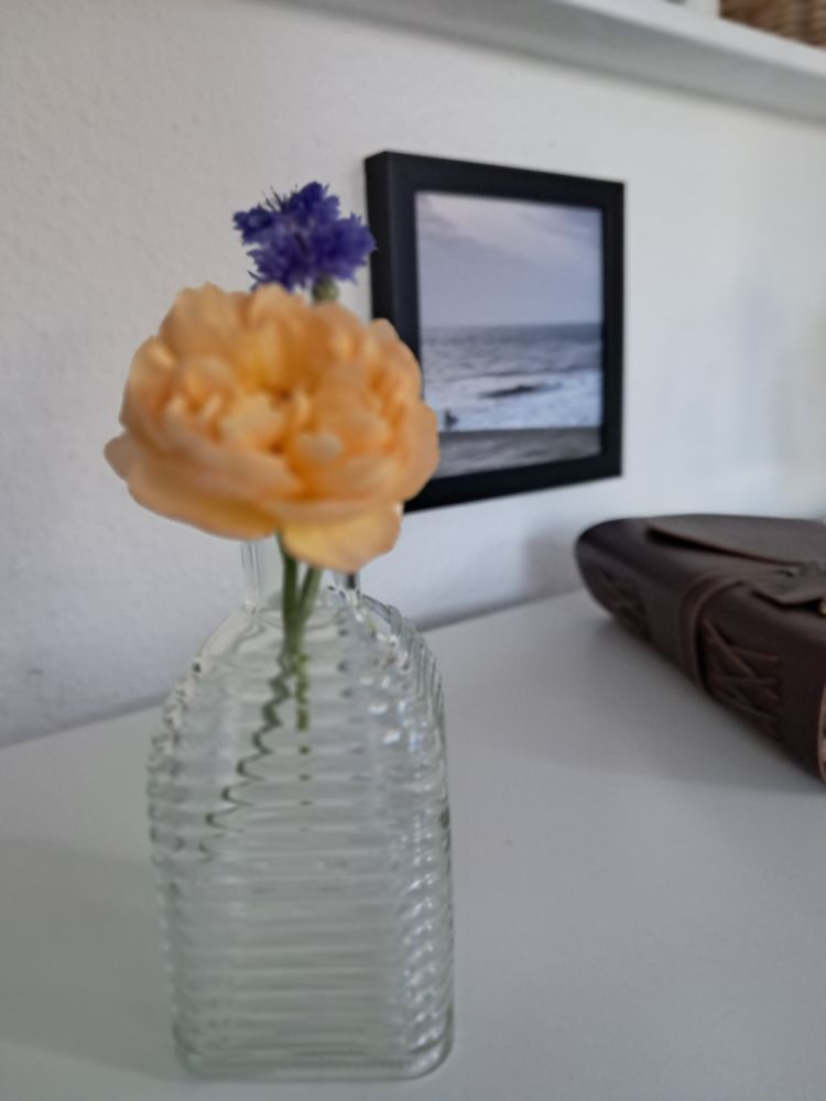 Eine kleine Glasvase mit einer hell orangefarbenen Rose und eine dunkelblauen Kornblume