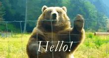 a brown bear is standing behind a fence waving its paw and saying hello .