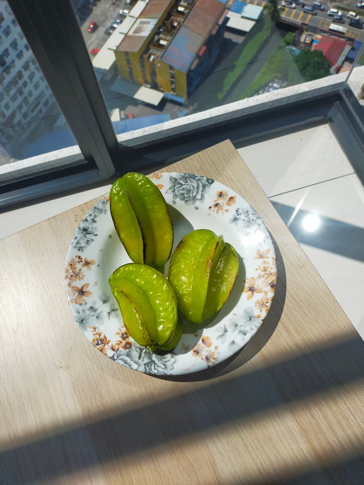 Three green Star fruit sitting on a plate in a high rise apartment. Tinges of yellow are visible. Parts of the city are visible through the window...way below.  The sun is on the fruit.
