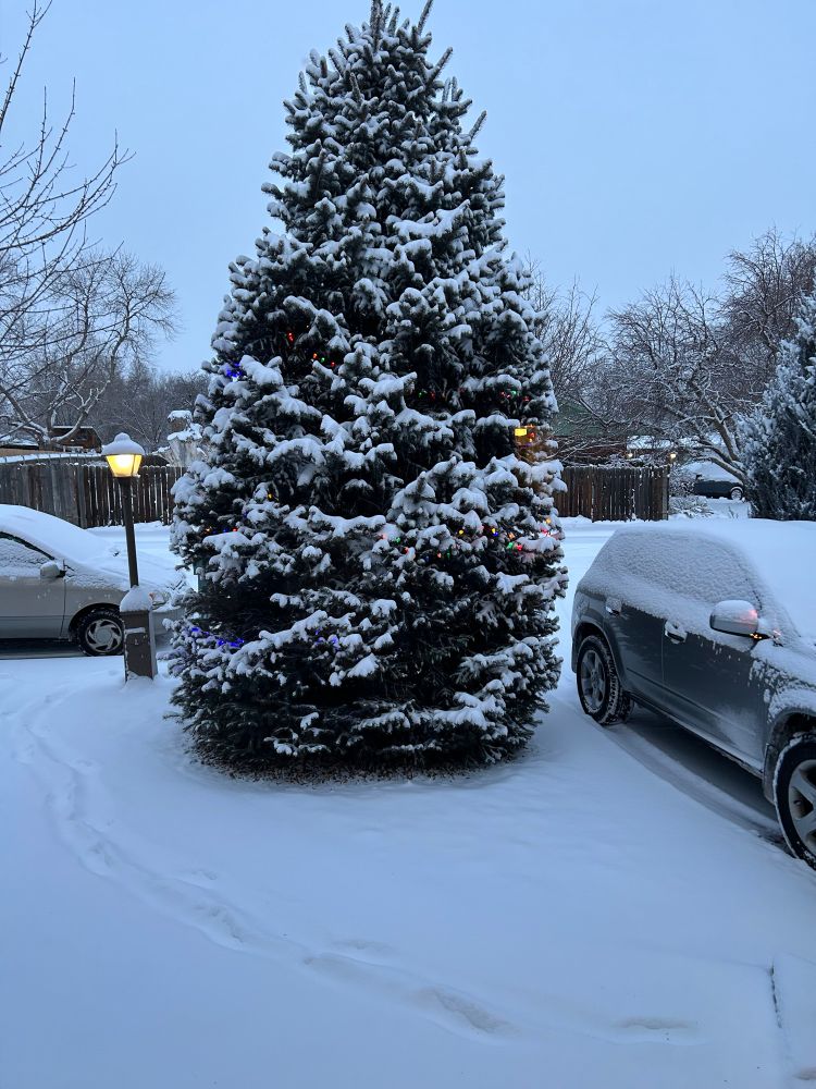 Snow day!