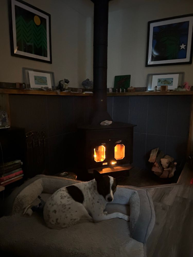 Koko stays warm by the fire