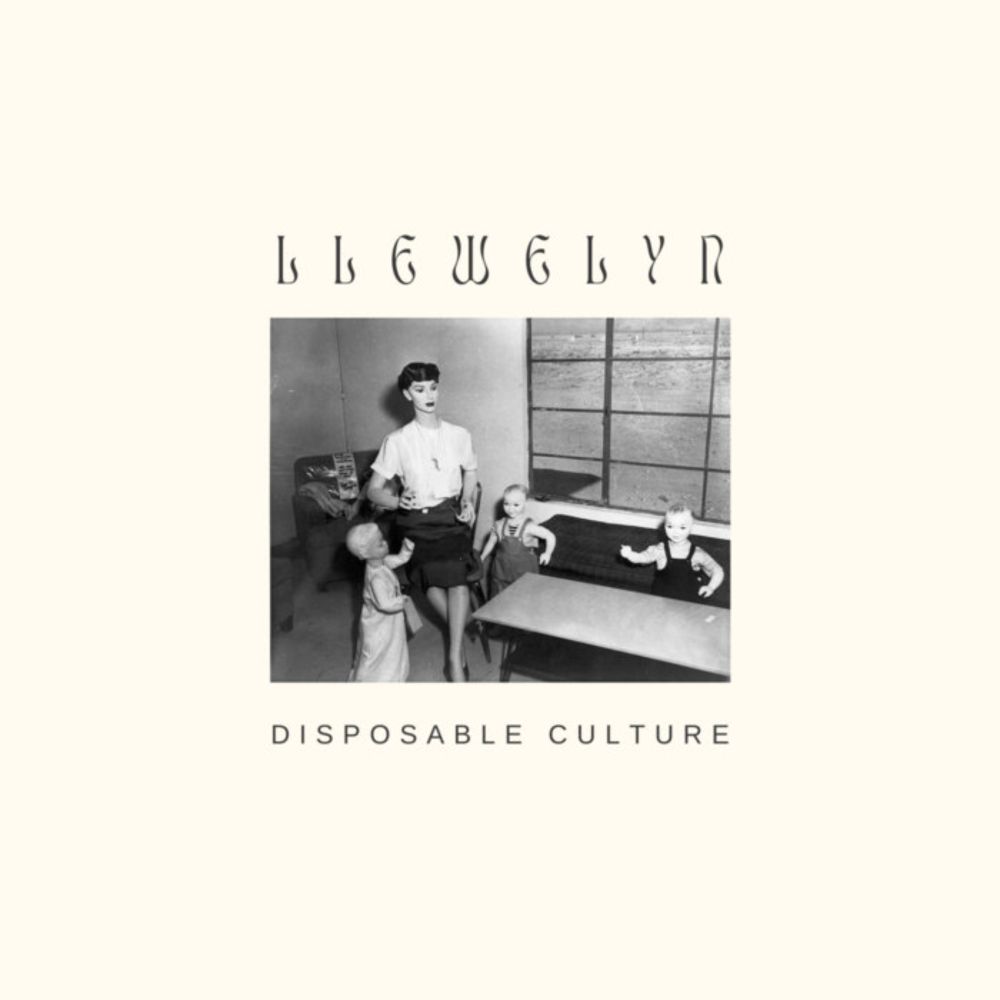 Disposable Culture, by Llewelyn