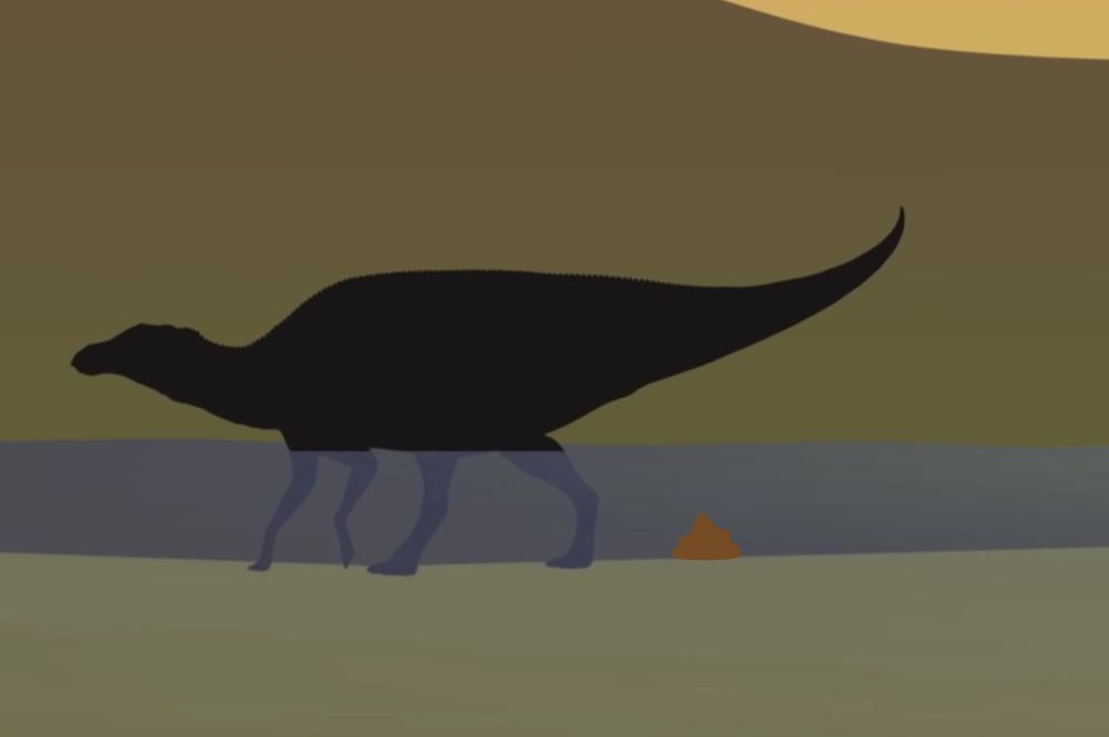 Dinosaur Poop 101: Fossil Fecal Forensics