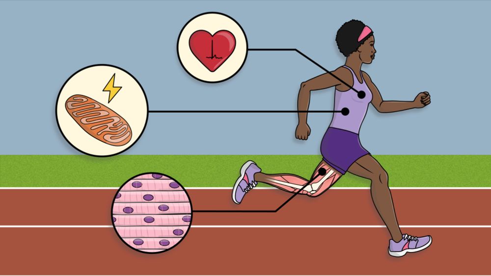 Do Super Athletes Have Better Biology?