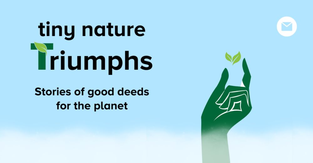 Sign Up For 'Tiny Nature Triumphs'