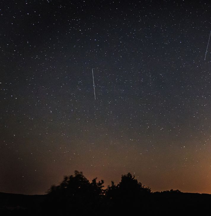 A dark night sky scattered with countless stars, with two bright meteor trails cutting through one vertical near the centre and another slanting in from the right edge. The horizon is lined with the silhouettes of trees and distant hills, faintly lit by a warm orange glow from below.