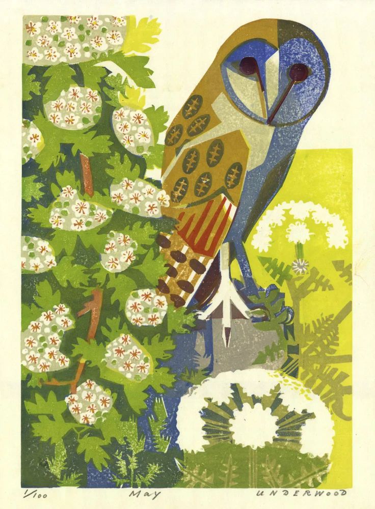 A graphic print of a Barn Owl peering out from behind a tree heavy with white blossom. The owl’s plumage is rendered in warm browns, golds, and blues, with large dark eyes framed by a pale heart-shaped face. In the foreground, white flowers rise from a bed of green ferns. Art by Matt Underwood.