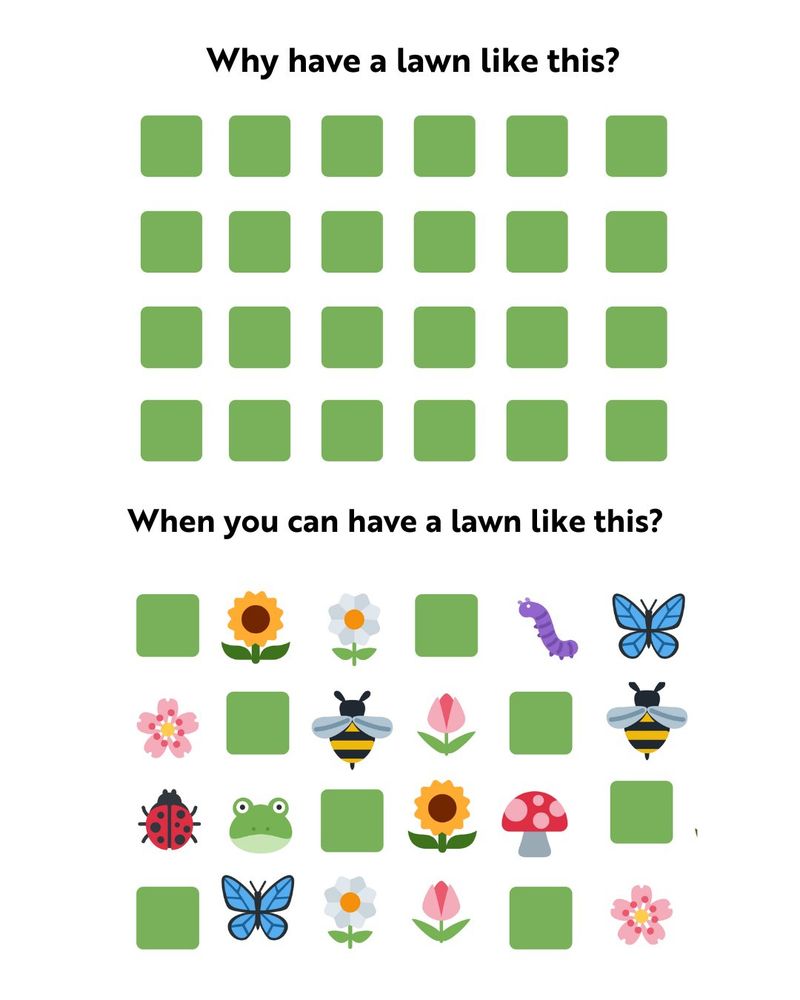 The image presents a comparison between two types of lawns to promote #NoMowMay. On the left side, titled "Why have a lawn like this?" it displays a grid of uniform green squares representing a plain, regularly mowed lawn. On the right side, titled "When you can have a lawn like this?" the grid intersperses colourful icons of a sunflower, a pink flower, a ladybug, a frog, a bee, a butterfly, a white flower with a yellow centre, a tulip, another sunflower, a red mushroom with white spots, and additional flowers, symbolising a lively, biodiverse lawn encouraged by letting grass grow naturally during May.