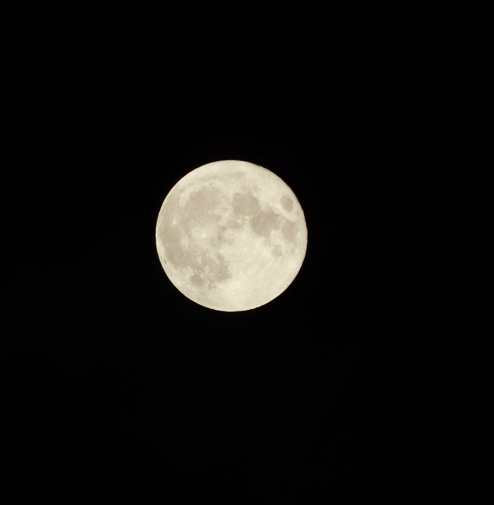 A bright August full moon dominates the centre of the image against a dark night sky. The moon’s surface is detailed with various craters and dark patches, giving it a textured, three-dimensional appearance. The stark contrast between the illuminated moon and the dark clouds surrounding it creates a sense of calm and quiet solitude. 