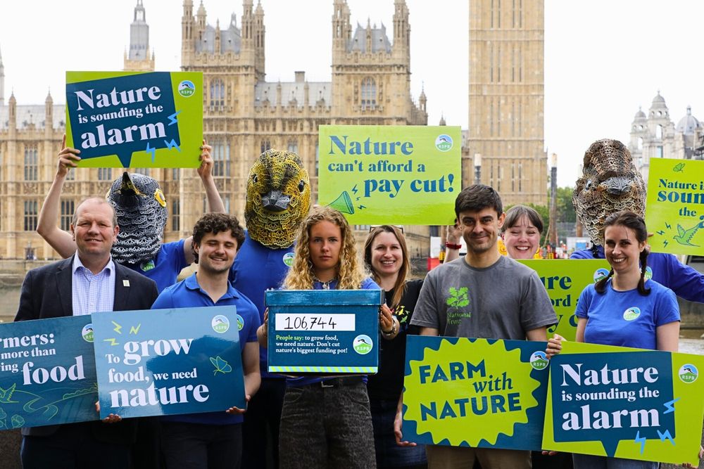 A group of campaigners from the RSPB and partner organisations stand in front of the Houses of Parliament, holding bold signs calling for support for nature-friendly farming. One sign reads “Nature can’t afford a pay cut!” while others say “Farm with nature” and “To grow food, we need nature.” Three people wear oversized bird head costumes, and at the centre, a young woman holds a box showing the petition total: 106,744 signatures. The mood is determined and urgent, highlighting public support for protecting nature’s farming budget.