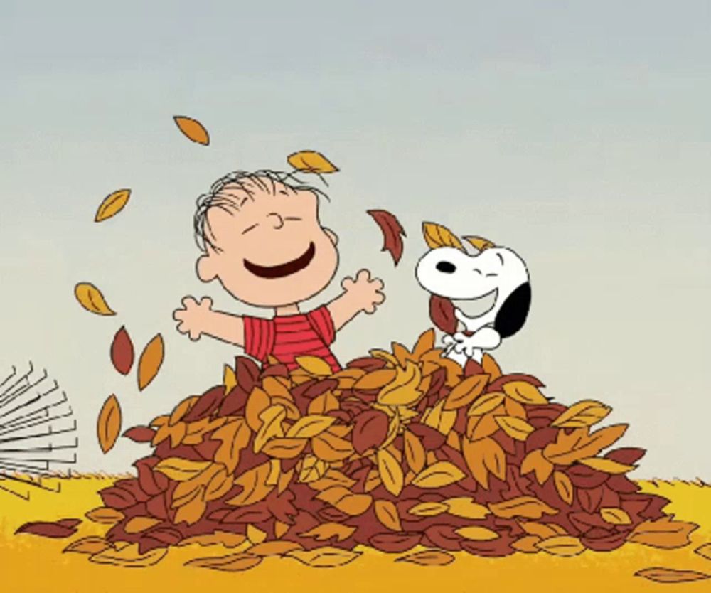 a cartoon of a boy and a dog playing with leaves