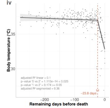 body temperature drops significantly in the last month of life