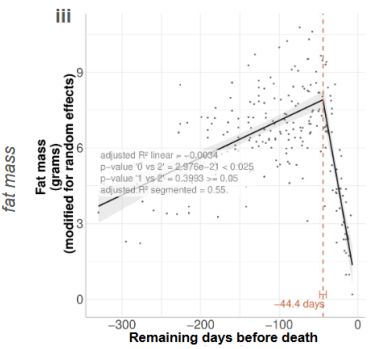 Fat mass decreases significantly in the last month of life