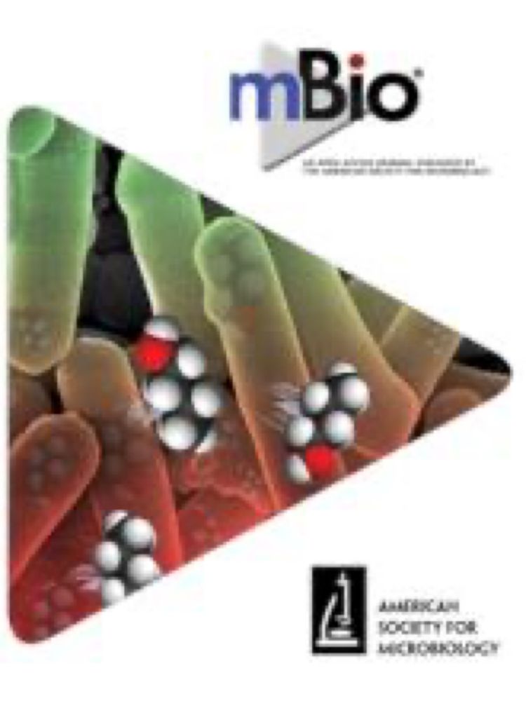 Anaerobic gut fungal communities in marsupial hosts | mBio