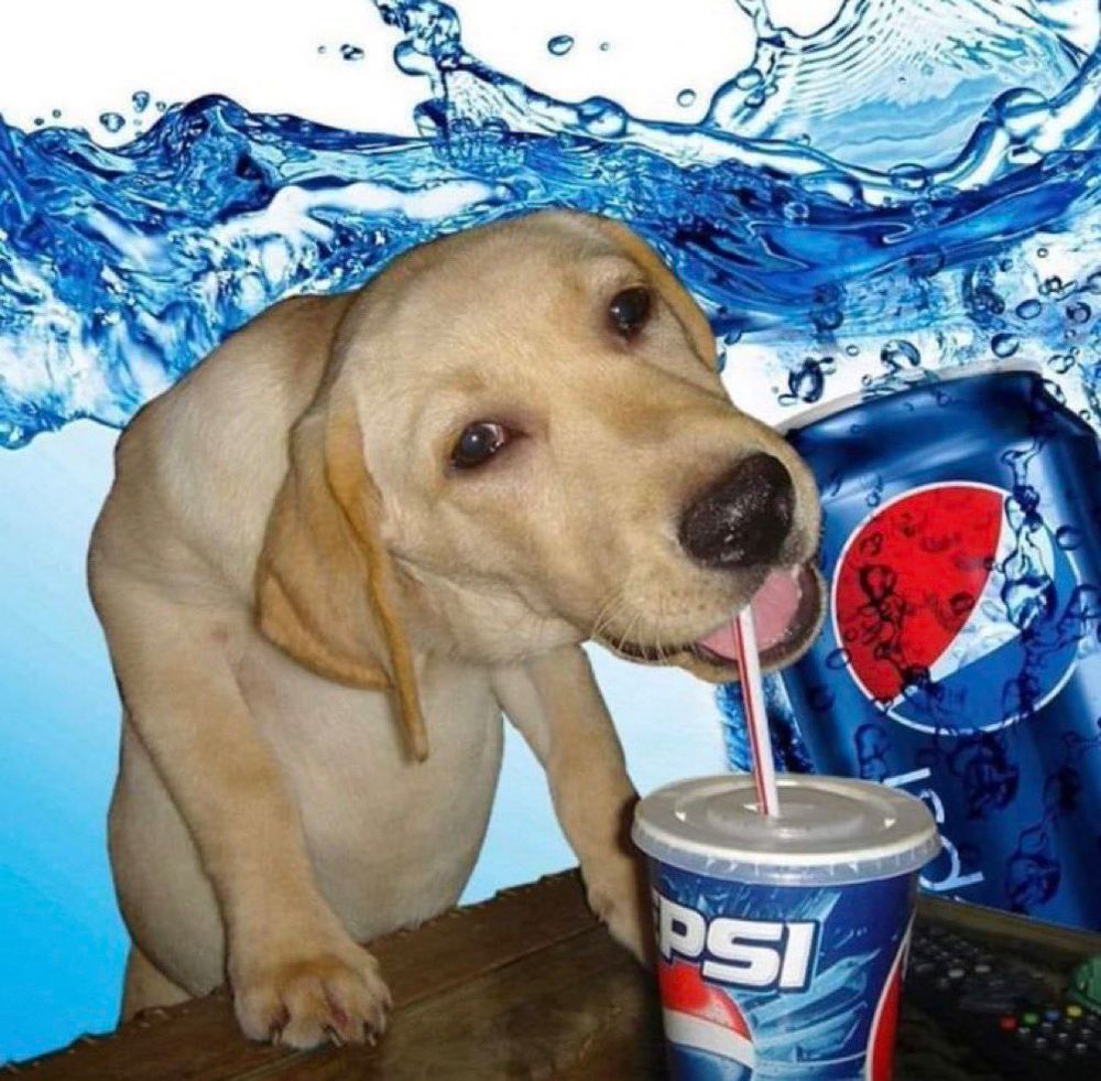 Comment image