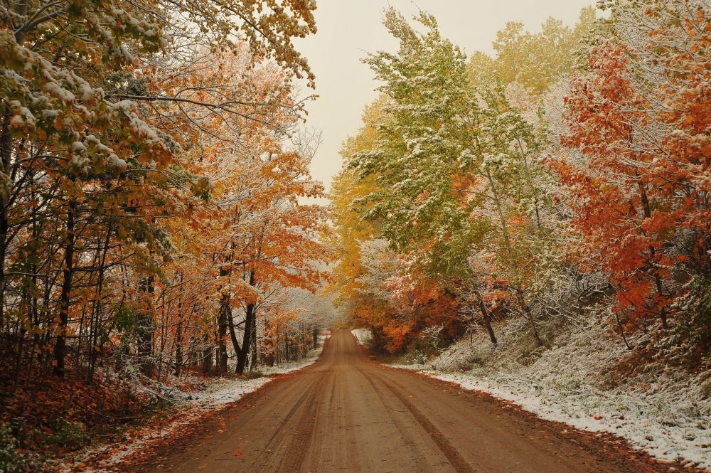 A country road disappears in colorful autumn trees that are covered with snow.