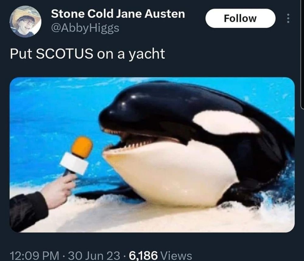 Image of an Orca appearing to speak into a microphone, with the caption "Put SCOTUS on a yacht."
