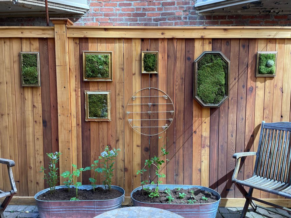 Gold frames hung from a wooden fence stuffed with moss.